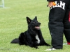 brevet_guard brevet_guard