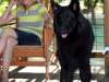 maggie_blaede_reunion maggie_blaede_reunion