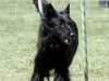 sharpy_pac_20140706 sharpy_pac_20140706