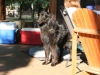 storm_sunny_20140817 storm_sunny_20140817
