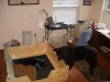 Obsidian whelping room Obsidian whelping room