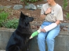 injuredpaws_350px injuredpaws_350px
