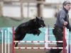 sharpy_joan_jump sharpy_joan_jump