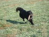 img_2293 img_2293