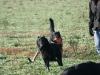 img_2317 img_2317