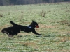 img_2321 img_2321