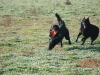 img_2322 img_2322
