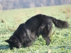 img_2331 img_2331