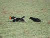 img_2359 img_2359
