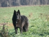 img_2373 img_2373